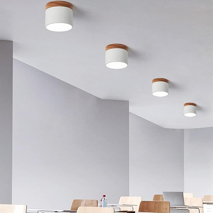 Modern Flush Mount Ceiling Light
