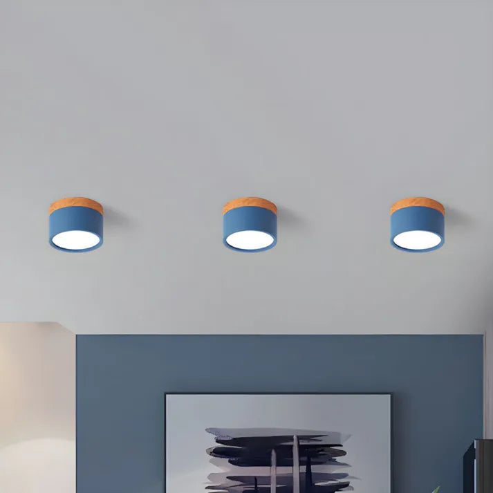 Modern Flush Mount Ceiling Light