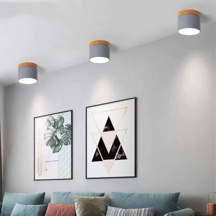 Modern Flush Mount Ceiling Light