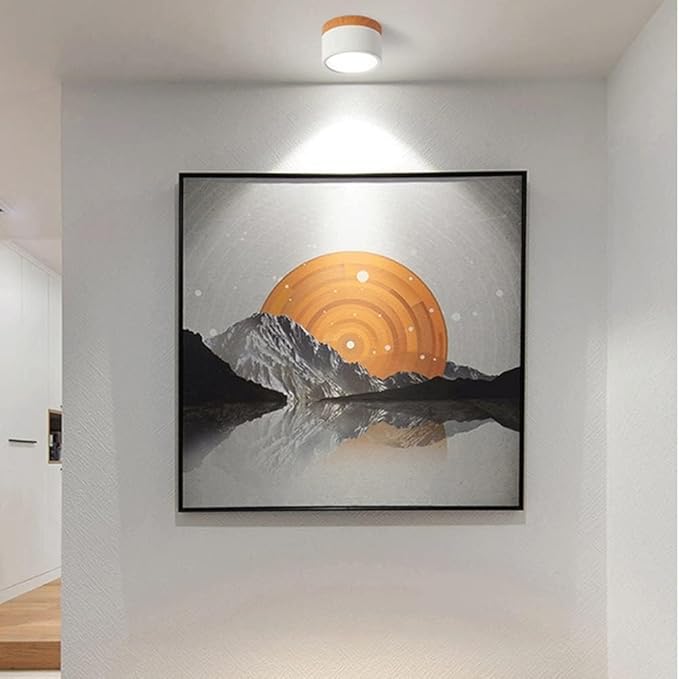 Modern Flush Mount Ceiling Light