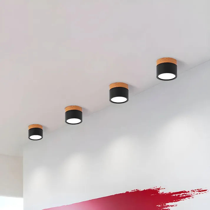 Modern Flush Mount Ceiling Light