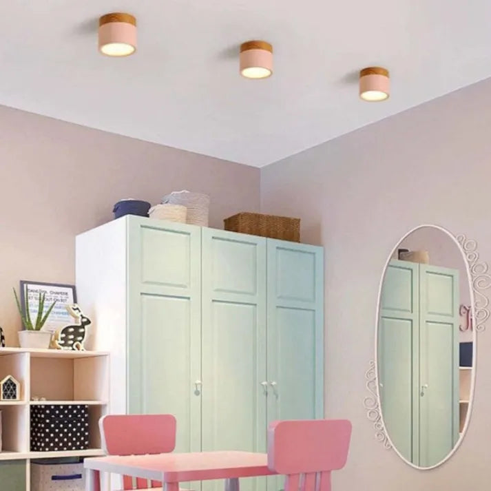 Modern Flush Mount Ceiling Light