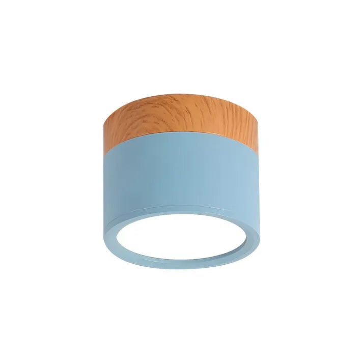 Modern Flush Mount Ceiling Light