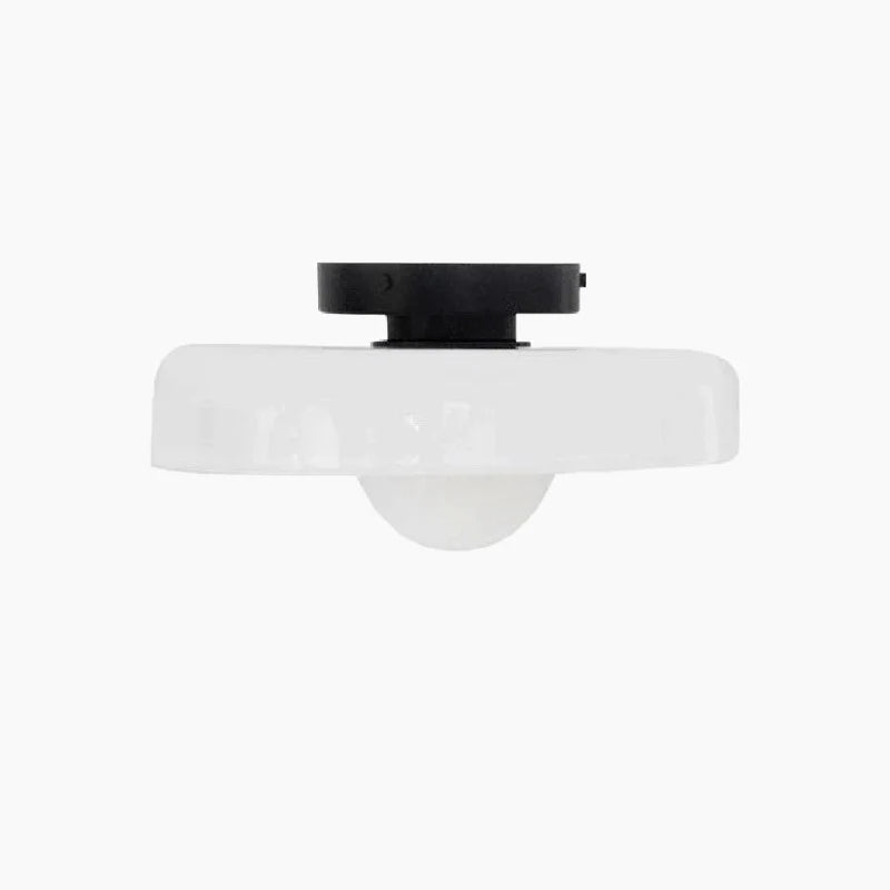 Modern Flush Mount Ceiling Light
