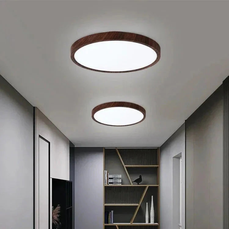 Modern Flush Mount Ceiling Light with Adjustable LED Effects for Home
