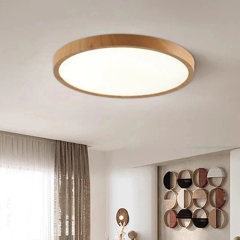 Modern Flush Mount Ceiling Light with Adjustable LED Effects for Home