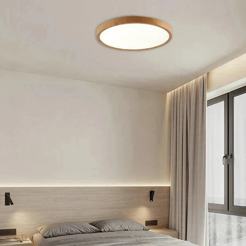 Modern Flush Mount Ceiling Light with Adjustable LED Effects for Home