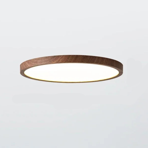 Modern Flush Mount Ceiling Light with Adjustable LED Effects for Home