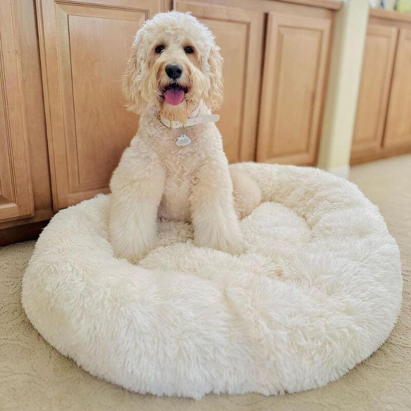 Anxiety Relieving Pet Bed