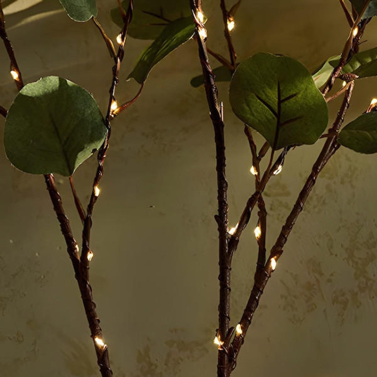 Olive Dream | Decorazione Luci Fatate