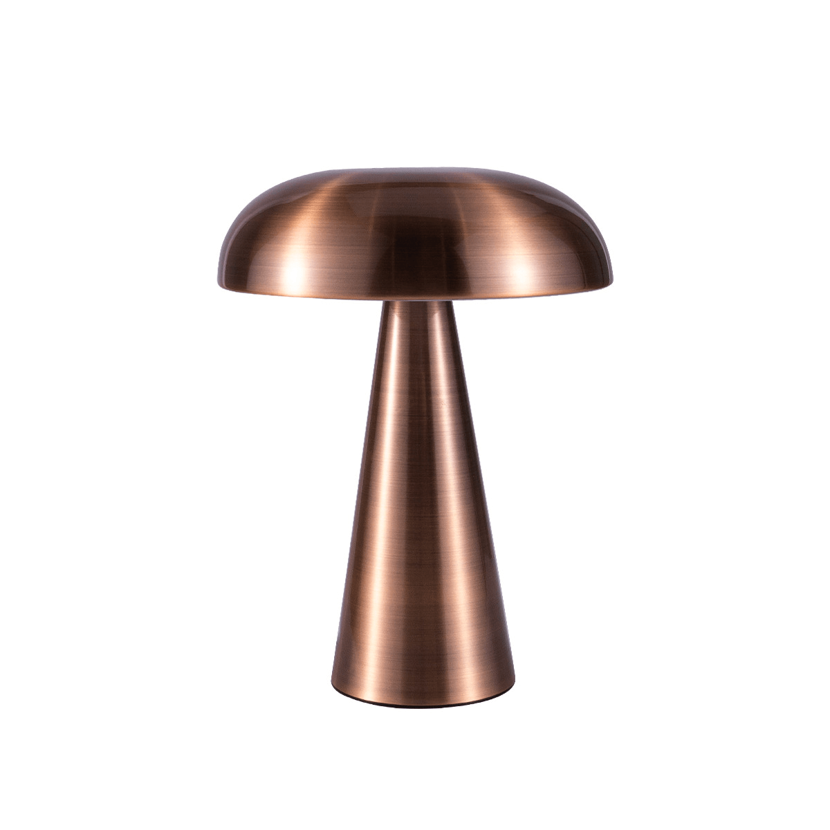 Portable Rechargeable Table Lamp with Adjustable Brightness