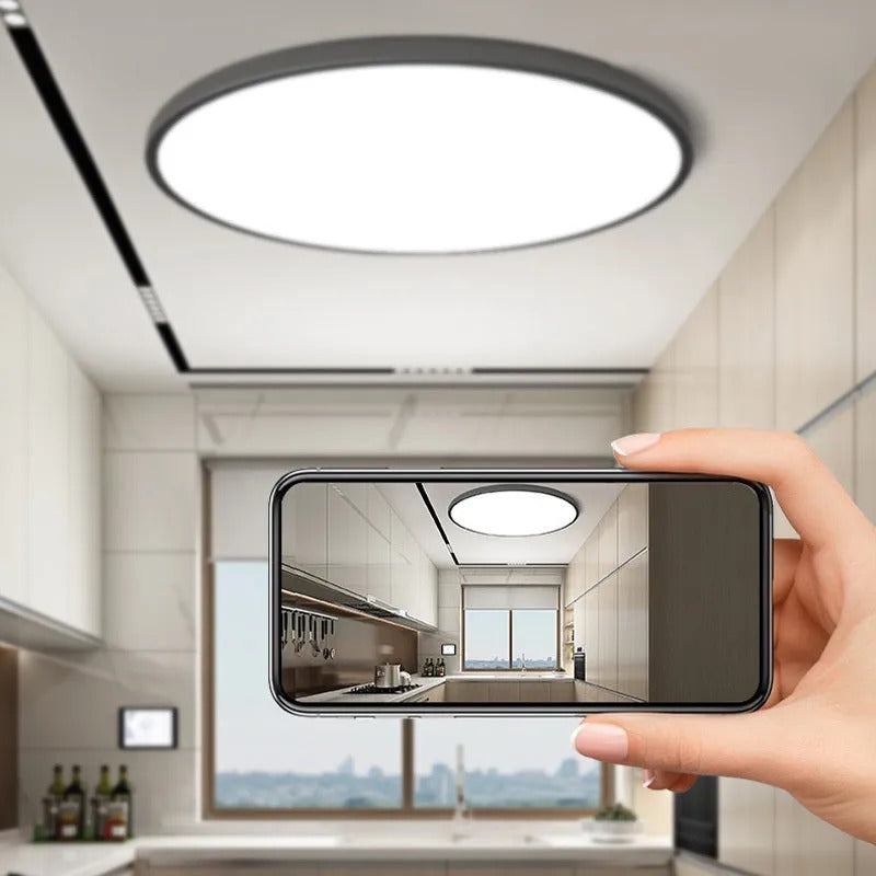 Quinn | Flush Mount Ceiling Lamp