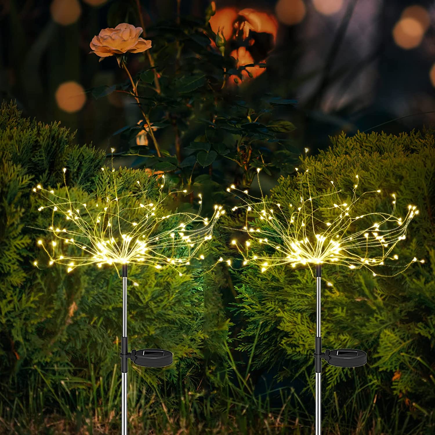 Solar Garden Lights