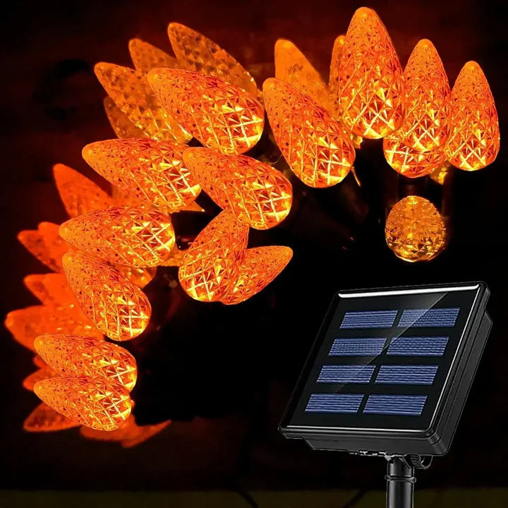 Solar Outdoor Decorative Lights