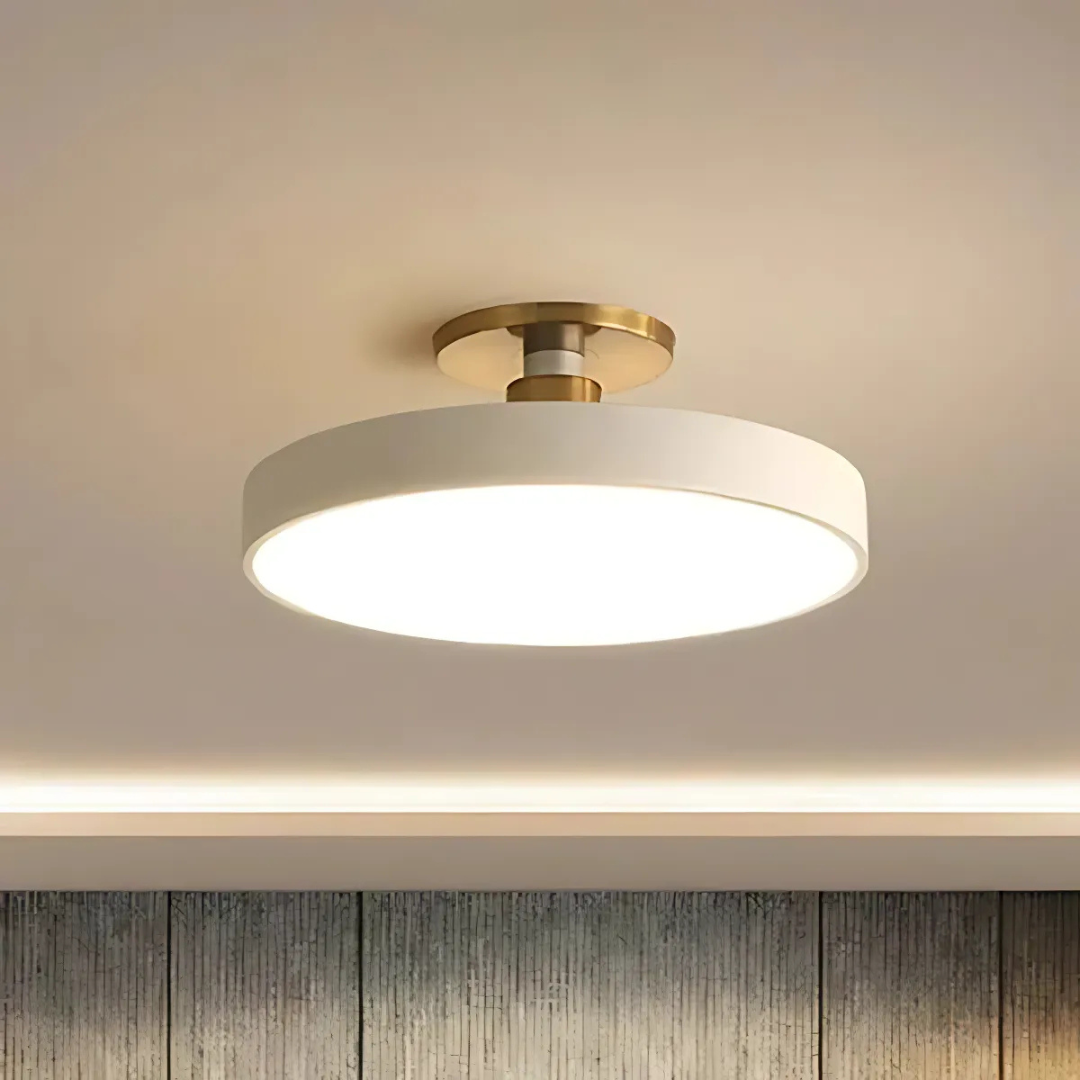 Scandinavian LED Flush Mount Ceiling Light