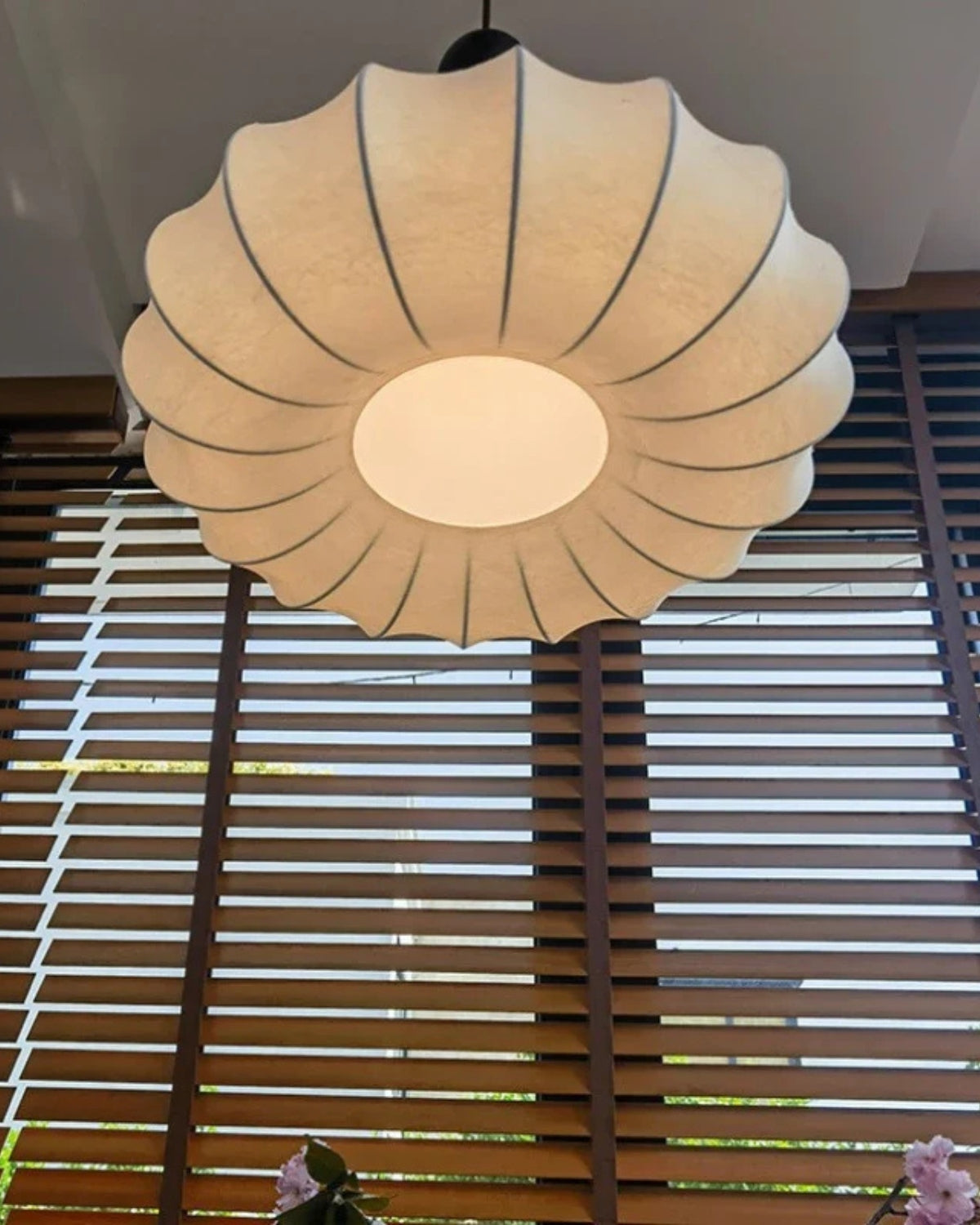 Feriona | Modern Pendant Lamp