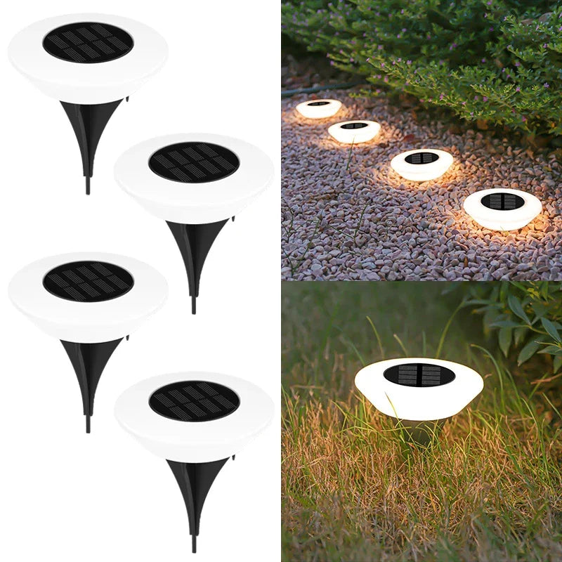 Liona | Solar Garden Pathway Lights