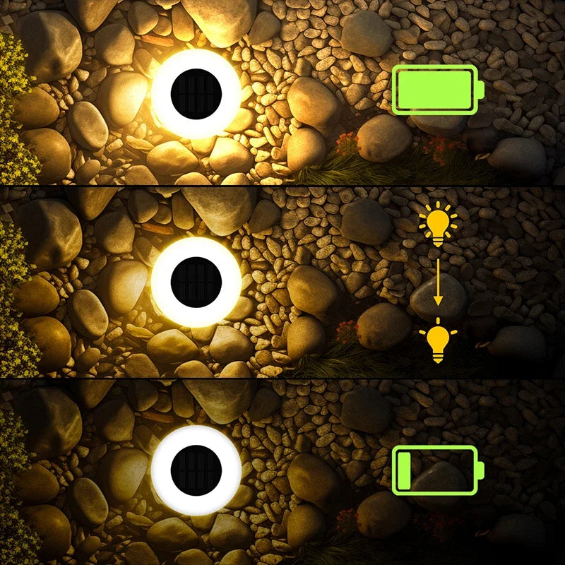 Liona | Solar Garden Pathway Lights