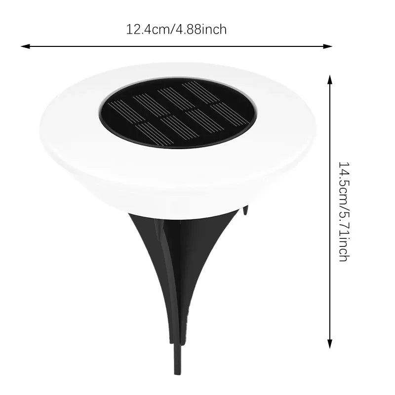 Liona | Solar Garden Pathway Lights