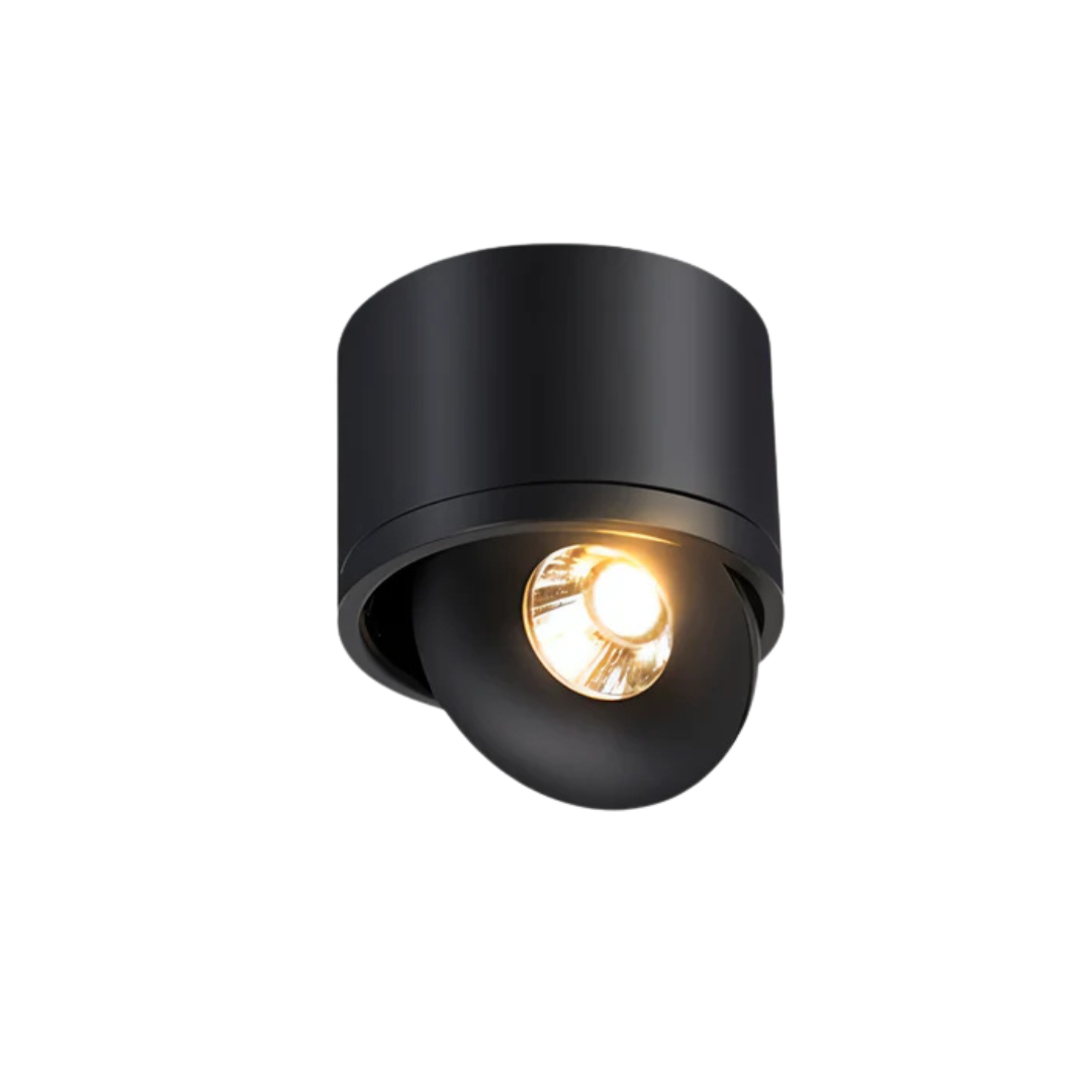 Selas | Flush Mount LED Ceiling Lamp