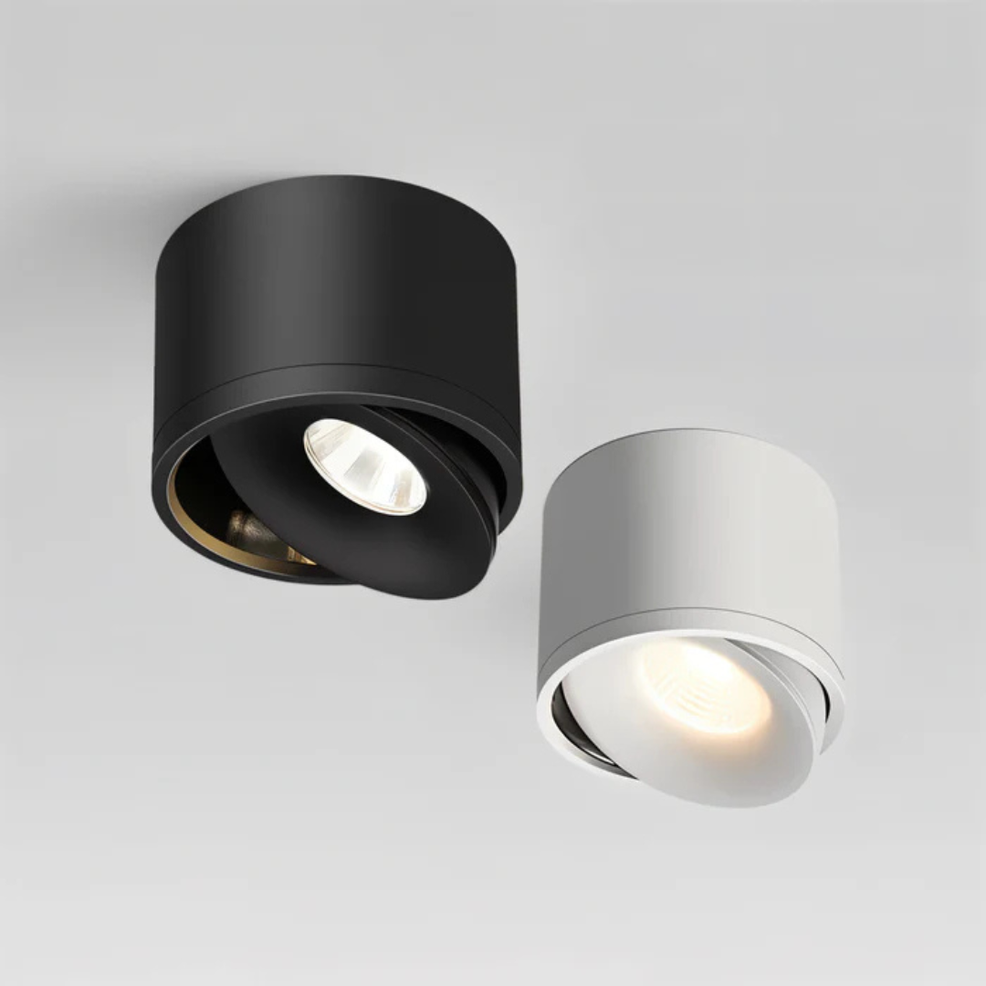 Selas | Flush Mount LED Ceiling Lamp