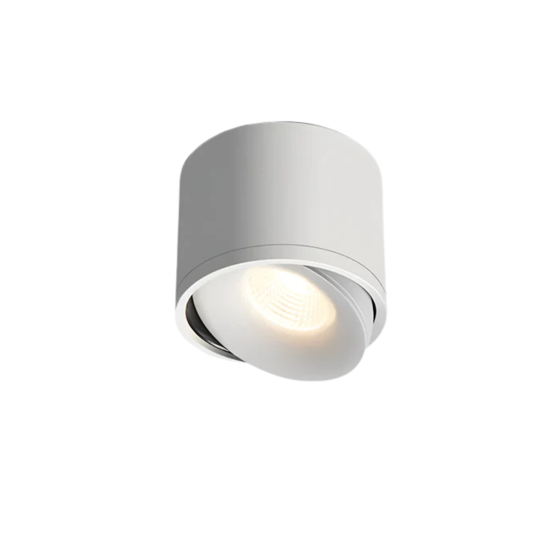 Selas | Flush Mount LED Ceiling Lamp