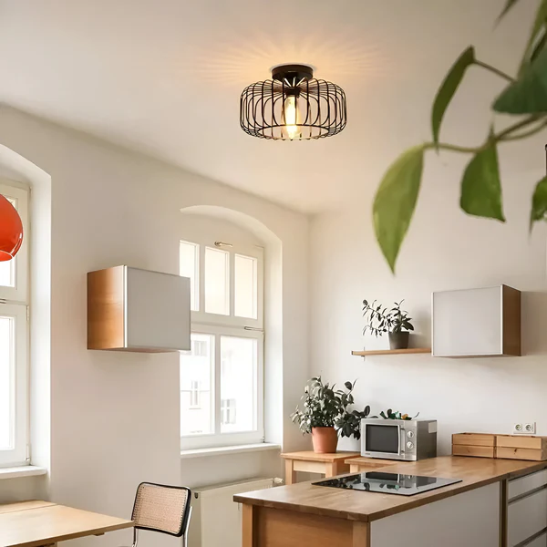 Stylish Indoor Ceiling Light