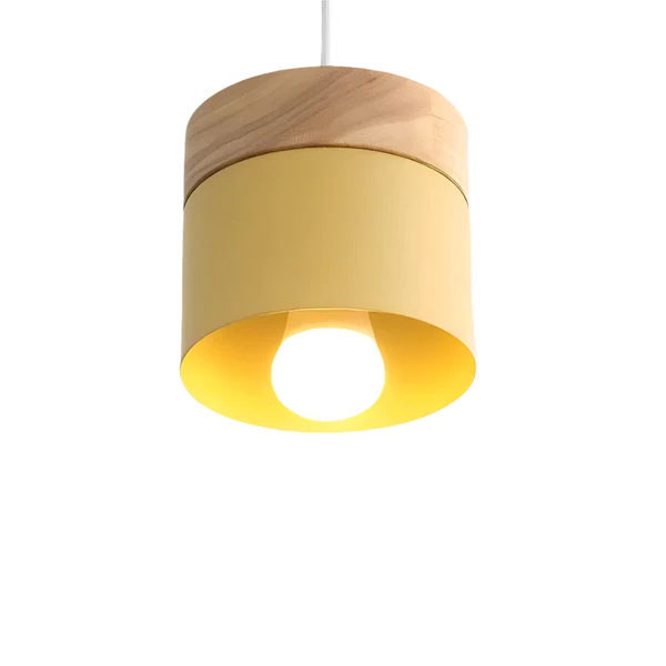 Stylish Wood and Metal Pendant Light