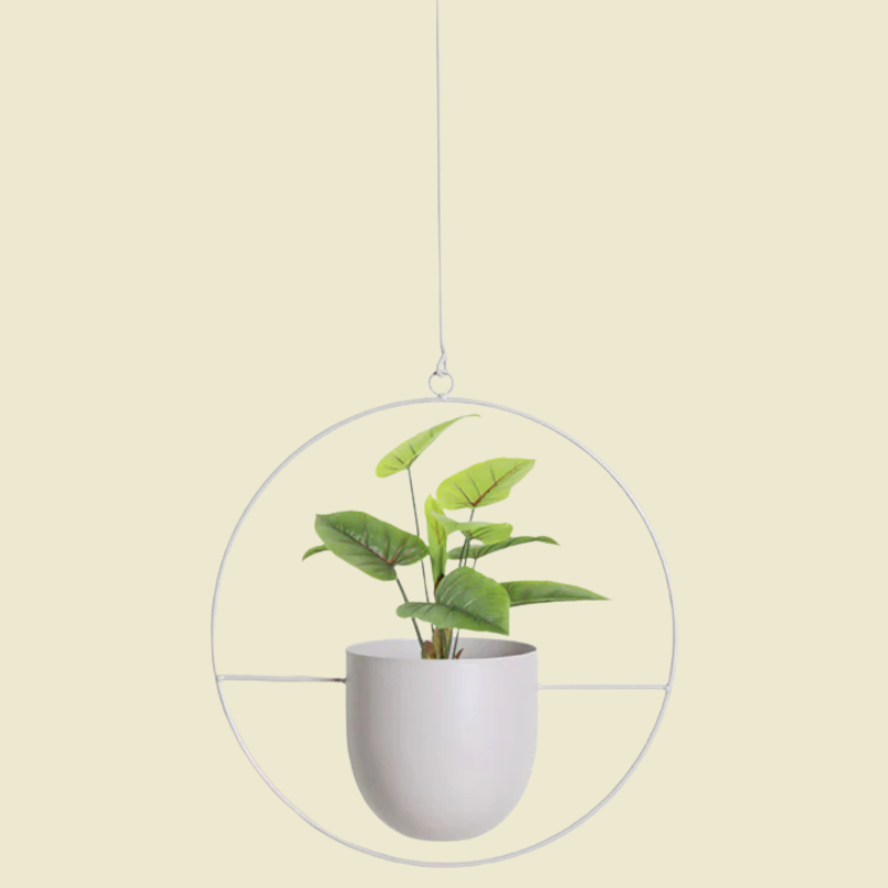 Verdantia | Moderne hangende plantenwanddecoratie
