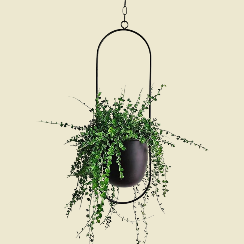 Verdantia | Moderne hangende plantenwanddecoratie