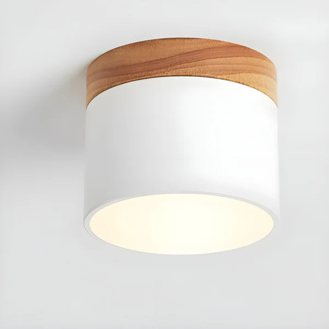 Vistara | Vintage LED Ceiling Lamp