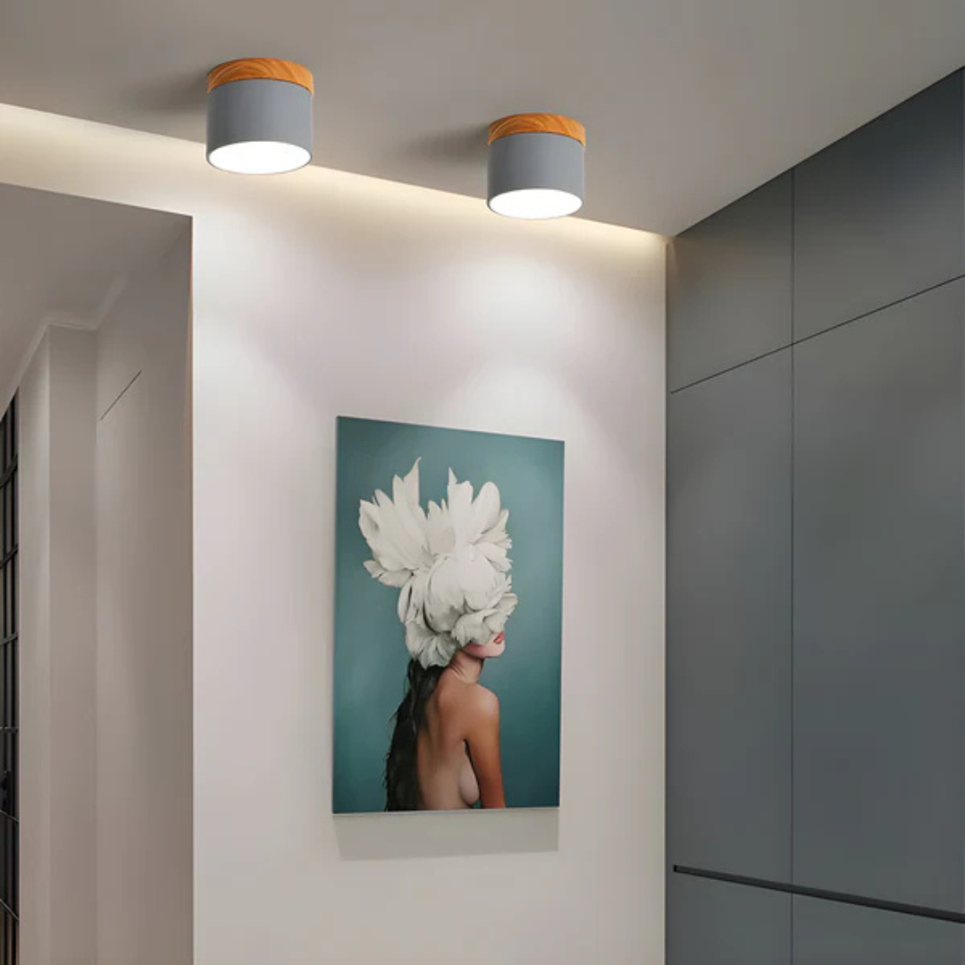 Vistara | Vintage LED Ceiling Lamp