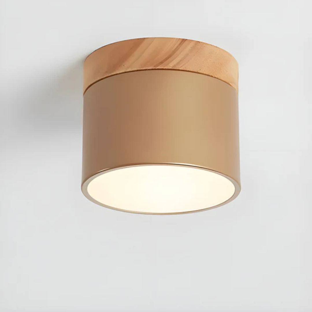 Vistara | Vintage LED Ceiling Lamp
