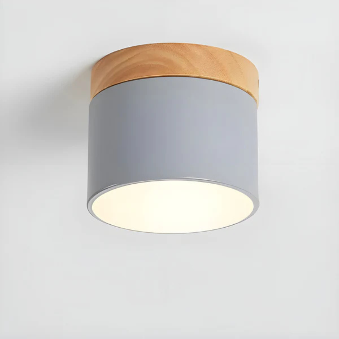 Vistara | Vintage LED Ceiling Lamp