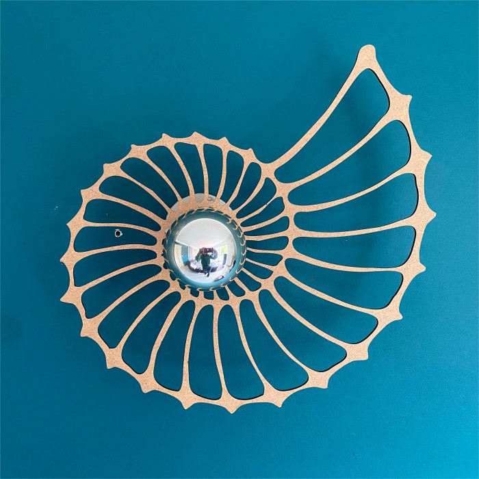 GlowTide | Nautilus Shell Design Decorative Wall Light