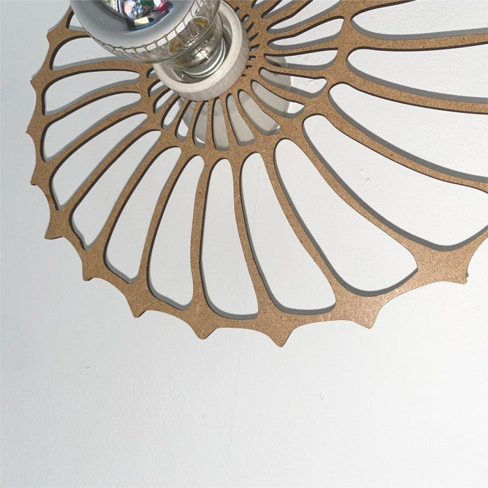 GlowTide | Nautilus Shell Design Decorative Wall Light
