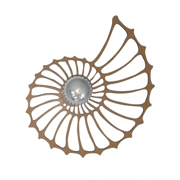 GlowTide | Nautilus Shell Design Decorative Wall Light